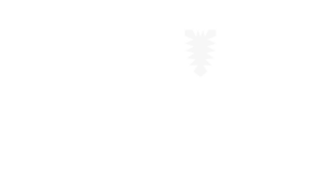 Schleswig-Holsteinisches Institut für Berufliche Bildung (SHIBB)