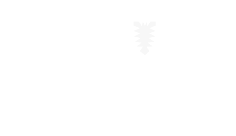 Schleswig-Holsteinisches Institut für Berufliche Bildung (SHIBB)
