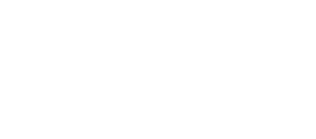 Logo TUI