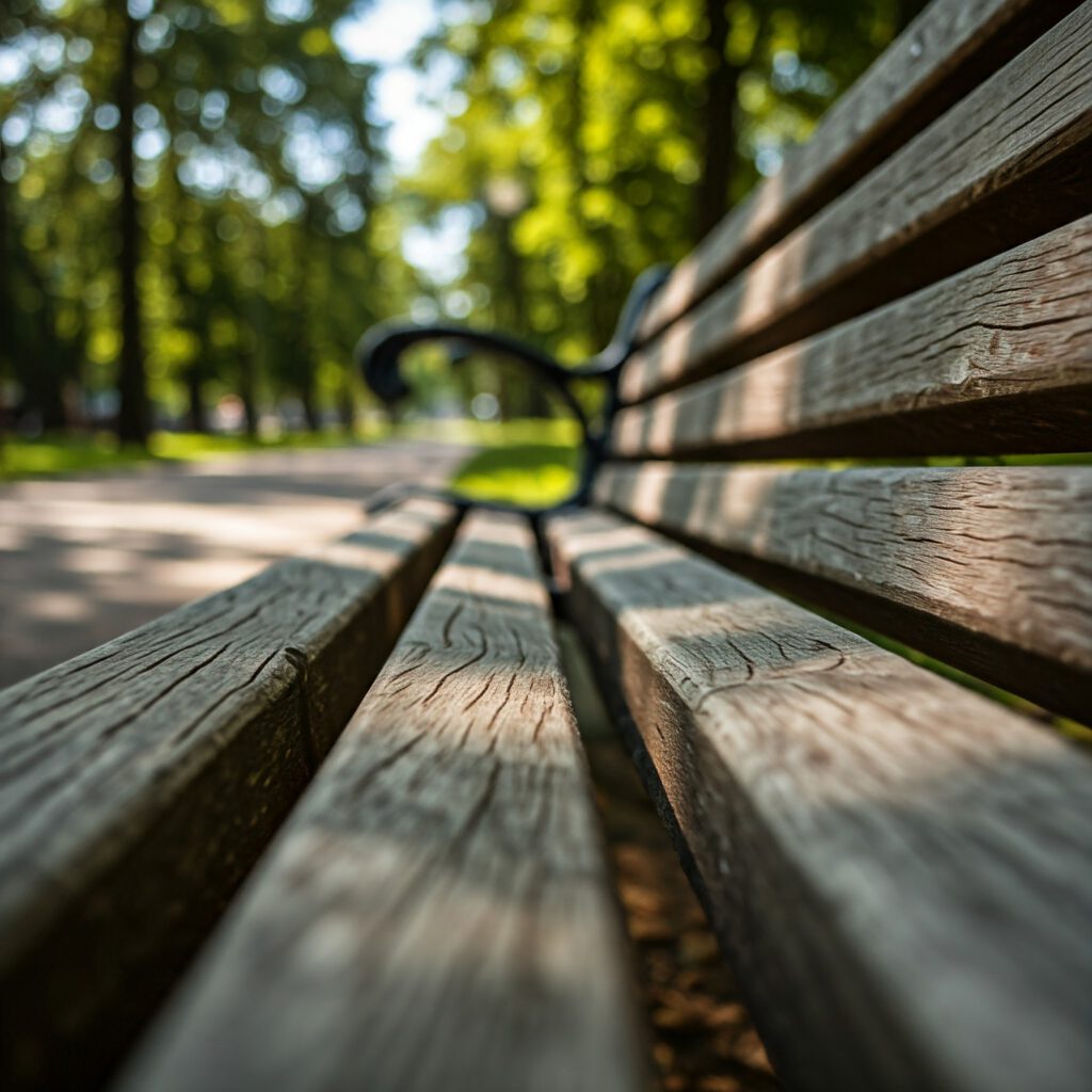 Eine leere Parkbank in der Sonne